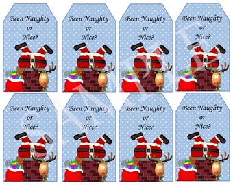 Been Naughty or Nice Gift Tags - Christmas Gift Tags - Instant Download - Christmas Tags