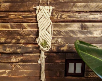 Macrame wall hanging for airplant, wall hanging, air plant, macrame