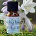 see more listings in the Perfume Oils section