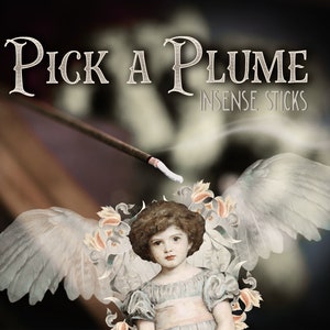 Incense Sticks - Pick a Plume - Pick Your Own - Long Lasting Fragrance - Francophile - Fruity Incense - Mint Incense - Citrus Home Fragrance