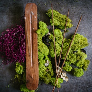 Puede incluir: Un porta incienso de madera con detalles plateados, rodeado de musgo verde, algas moradas y varillas de incienso. La disposici&oacute;n se encuentra sobre una superficie texturizada gris oscuro, creando una est&eacute;tica natural y terrosa.
