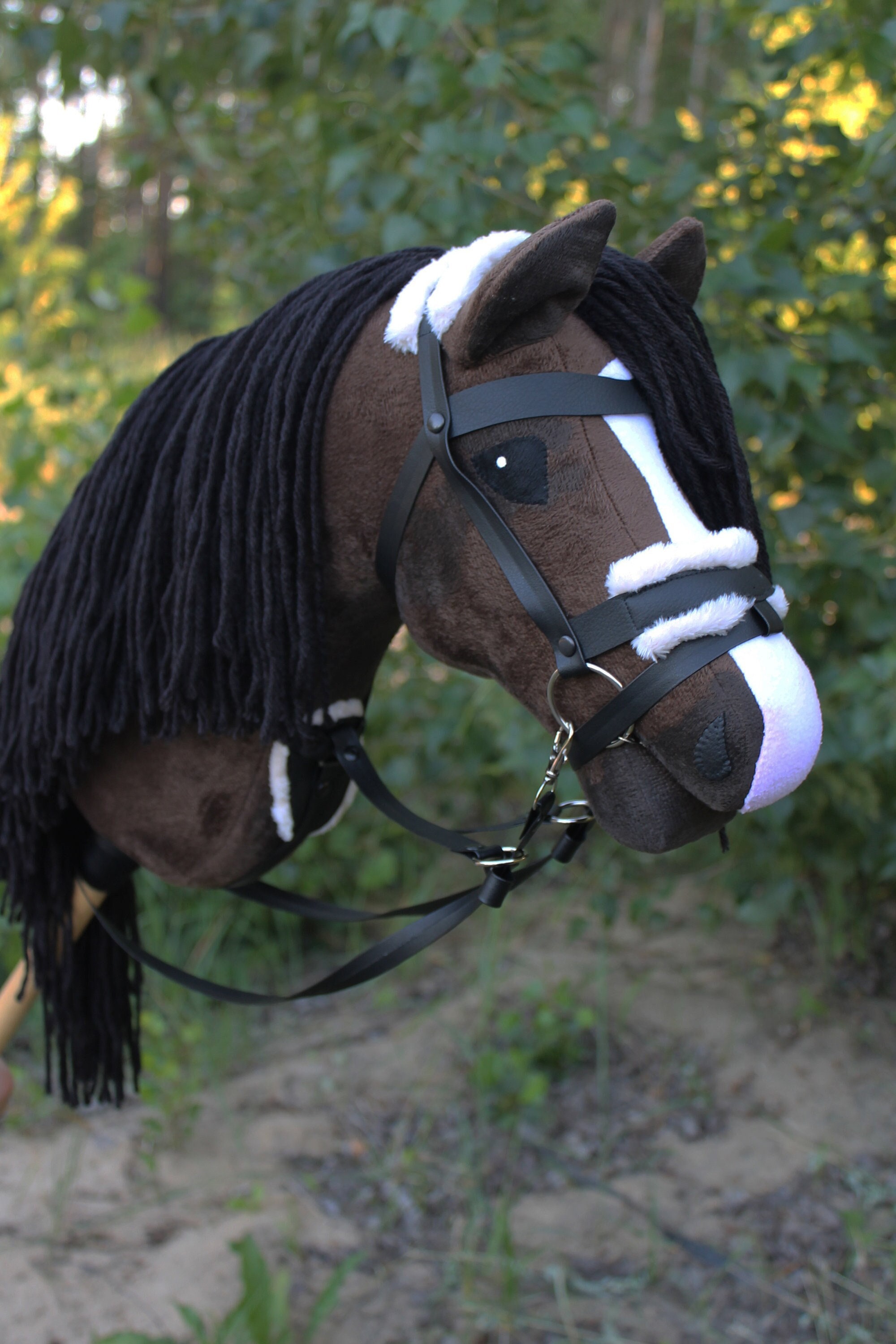 Tête de cheval, montrant une bride et rênes Photo Stock - Alamy
