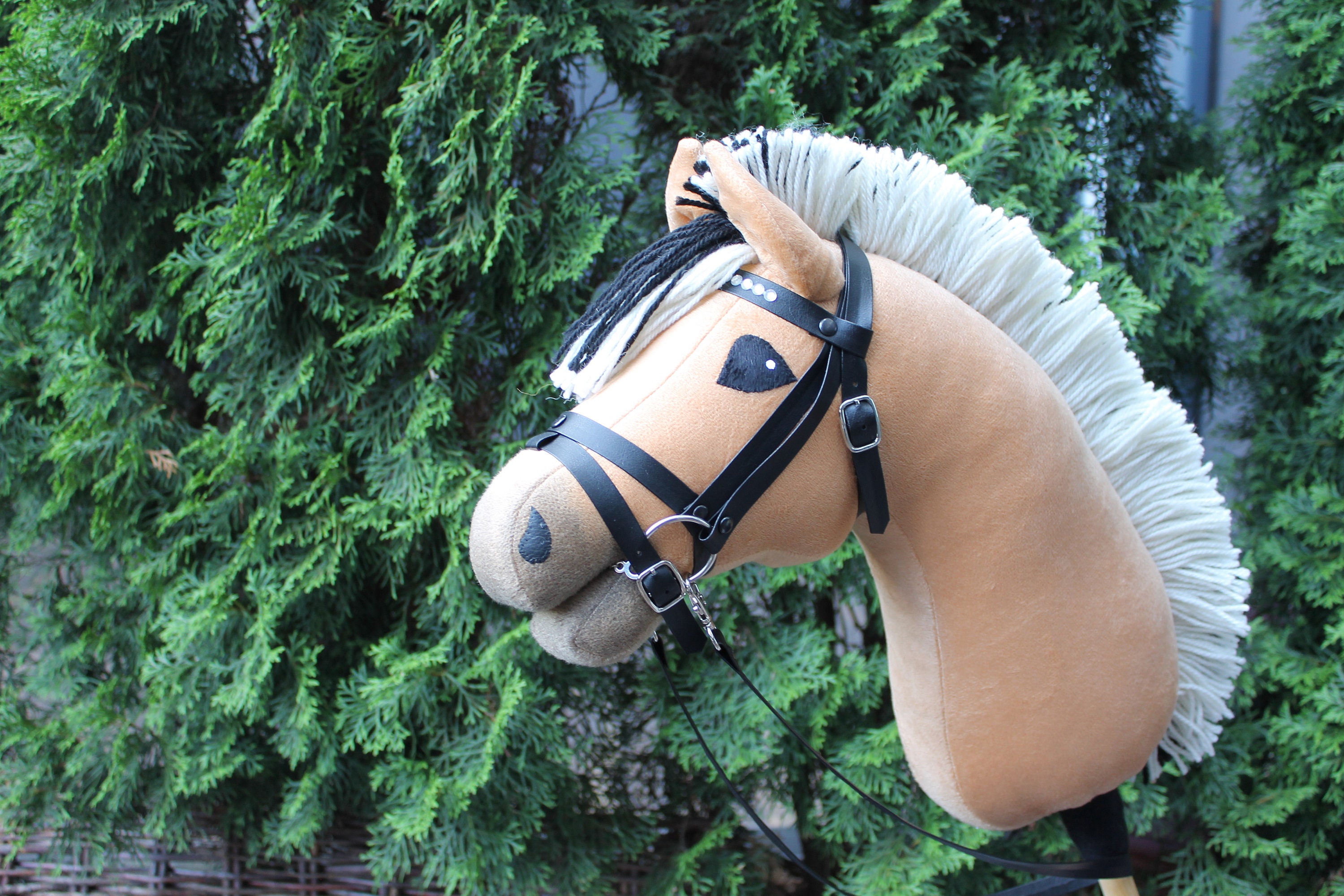 voor mij Bungalow walgelijk Hobbypaard Fjord steckenpferd stokpaardje käpphäst | Etsy België
