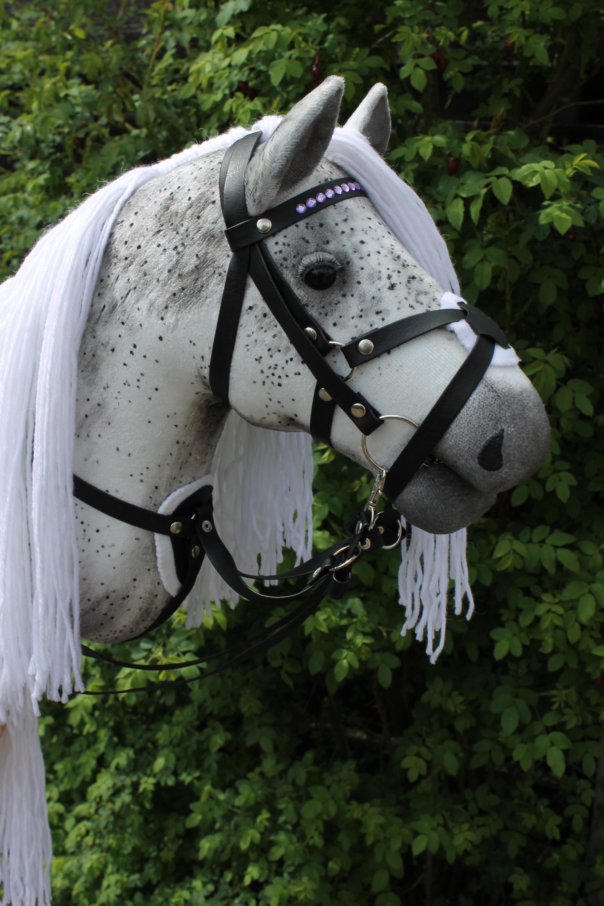 Hobby Horse A3 Set Pour : Couverture Polaire Cache-oreilles Accessoires Cheval Jouet Hobby Horse A3 Set Pour : Couverture Polaire Cache-oreilles Accessoires Cheval Jouet