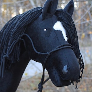 May include: Black horse head with a white star on its forehead, wearing a black halter with a rope lead.