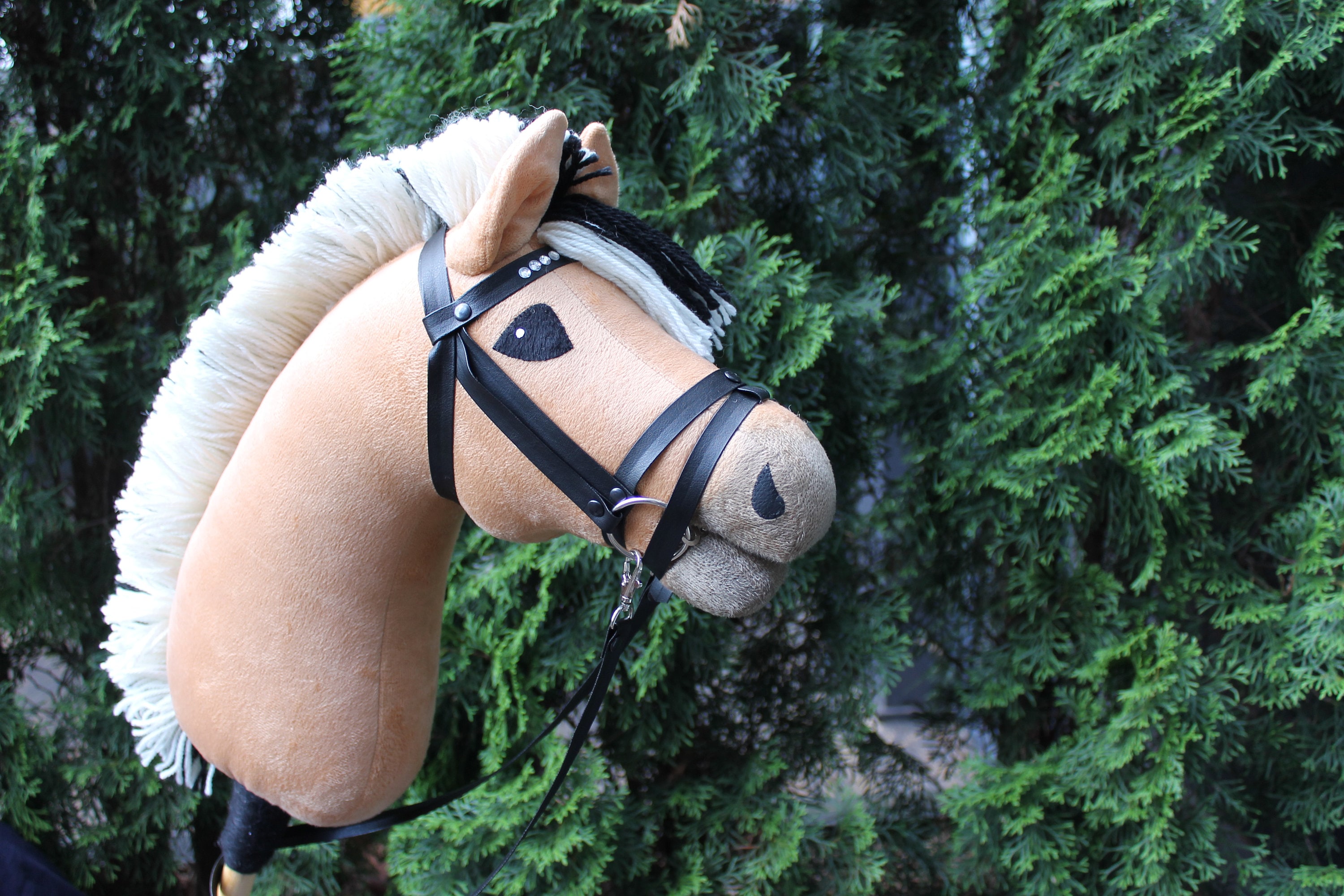 Hobby Horse Fjord Steckenpferd Hobbyhorse Käpphäst Etsy UK