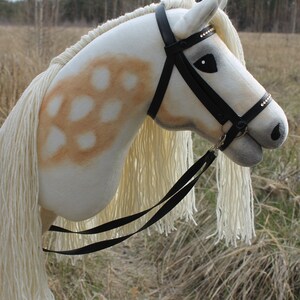 May include: A white and brown horse head with a black leather bridle and reins. The horse has a long white mane and tail. The horse is standing in a field of brown grass.