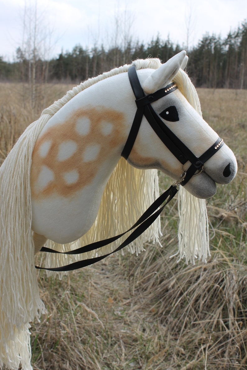 May include: A white and brown horse head with a black leather bridle and reins. The horse has a long white mane and tail. The horse is standing in a field of brown grass.