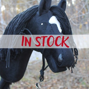 Hobbyhorse similar like OSTWIND with bridle and reins /steckenpferd/hobby horse/käpphäst/keppihevonen