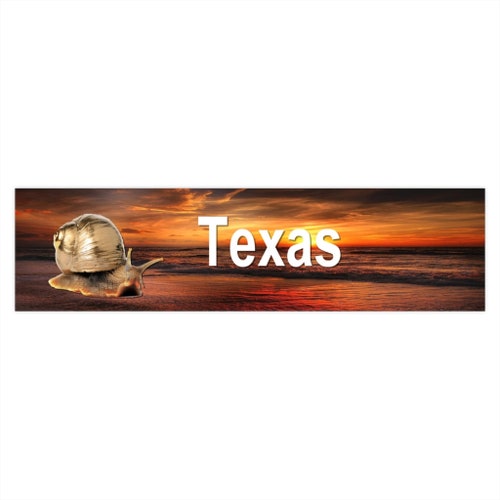 Funny Stickers No Baby on Board Bumper Sticker Etsy