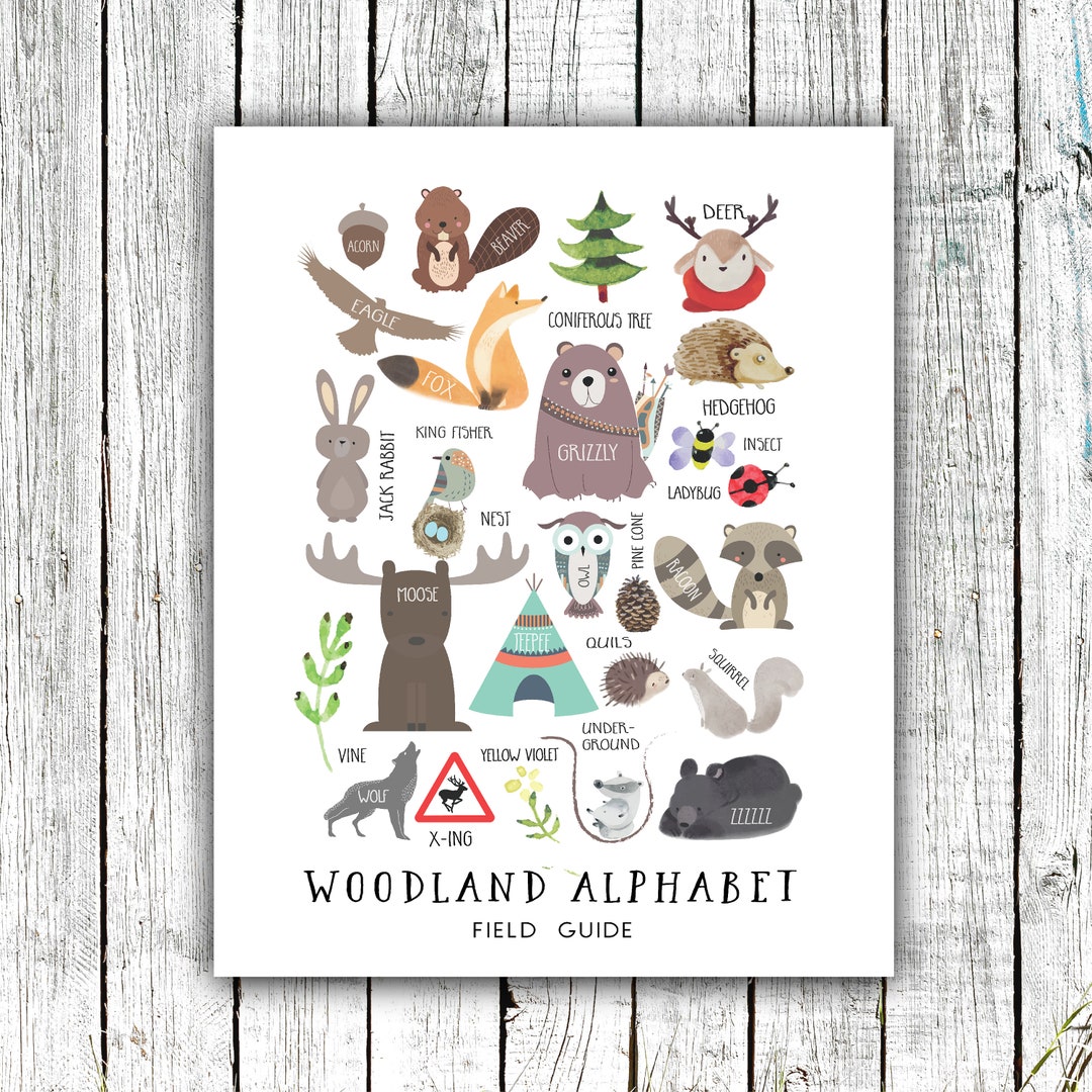 Nursery Art Poster, Woodland Field Guide Poster, Children's Prints ...