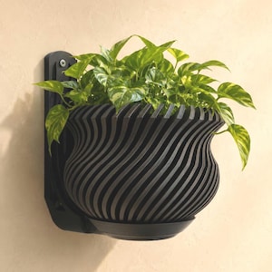 May include: A black, wall-mounted planter with a unique, wavy design. The planter holds a vibrant green plant with variegated leaves. The planter is attached to a black bracket on a beige wall, creating a modern aesthetic.