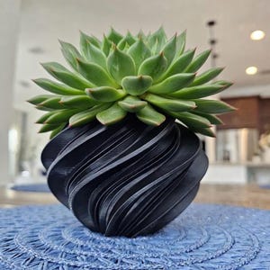 Mini Desk Planter with Drainage Tray | Small Succulent Pot Modern Decor | Unique Organic Curve Planter 2.5–3 Inch