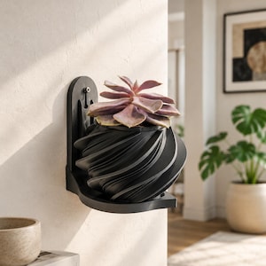 May include: A black, wall-mounted planter with a unique, swirling design, holding a succulent with pinkish-purple leaves. The planter is attached to a white wall, showcasing a modern, minimalist aesthetic. A small shelf is below the planter.