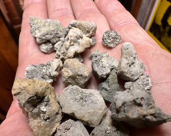 May include: A handful of raw pyrite and quartz mineral specimens. The rough, irregular stones display a mix of gray, tan, and metallic gold colors. The pyrite crystals glisten, contrasting with the matte quartz.