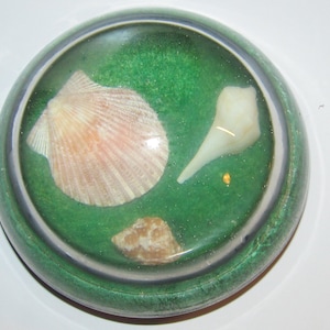Vintage Clear Glass Paperweight with Natural Seashells / Desktop Round Paperweight Boopie Glass Ring 3 1/8&quot; Round