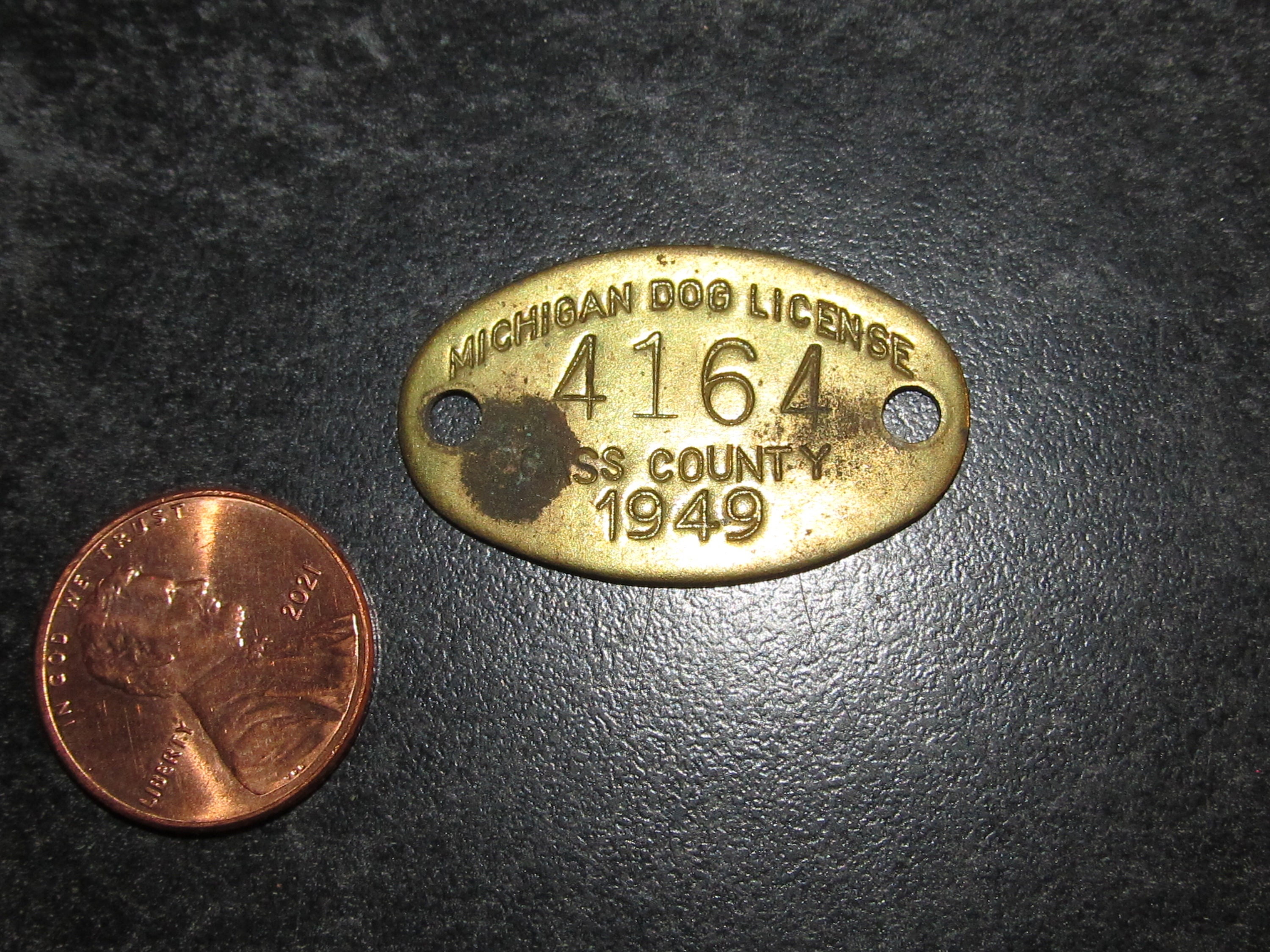 Dog License Lake County Ohio - m350gat