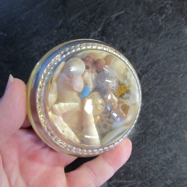 Clear Glass Paperweight - Etsy