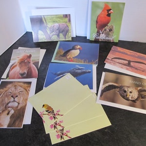 May include: Assortment of greeting cards featuring various animals, including a lion, a horse, a cardinal, an owl, a whale, a puffin, and an elephant. The cards are all white with a colorful image on the front.