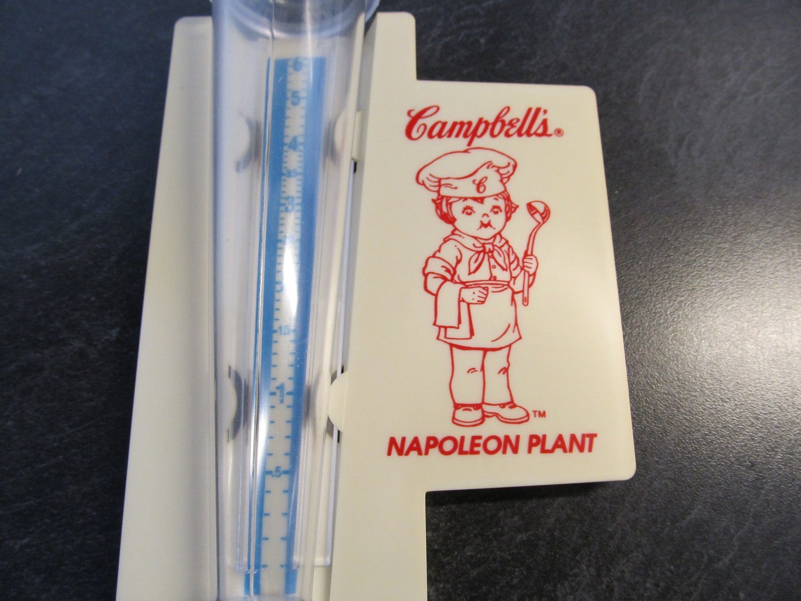 Vintage Campbell's Soup Napoleon Ohio Plant 1970's Etsy