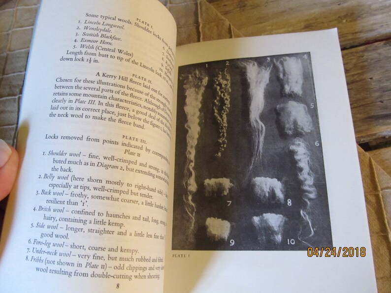 Vintage 1964 Your Handspinning Elsie Davenport SoftCover Book 96 Diagrams 5 Plates by Select Books