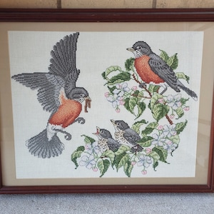 Vintage Framed Needlepoint: Robin Family Feeding Art (21x17)