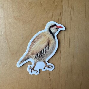 Bird Sticker - Chukar
