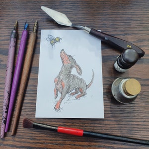 Dackel mit Hummel, Fine Art leere Grußkarte. Wurst Hund, Doxie, Dashchund, Welpe, Geburtstag. Tinte Illustration, Candy Medusa UK