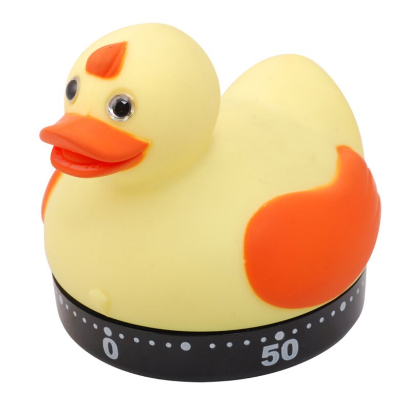 1 hour timer duck 1 hour timer duck