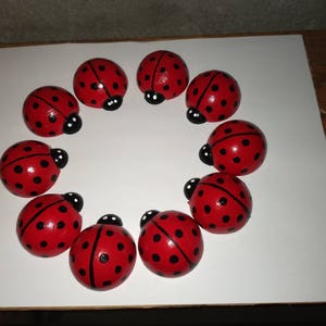 J's lucky ladybugs image 1