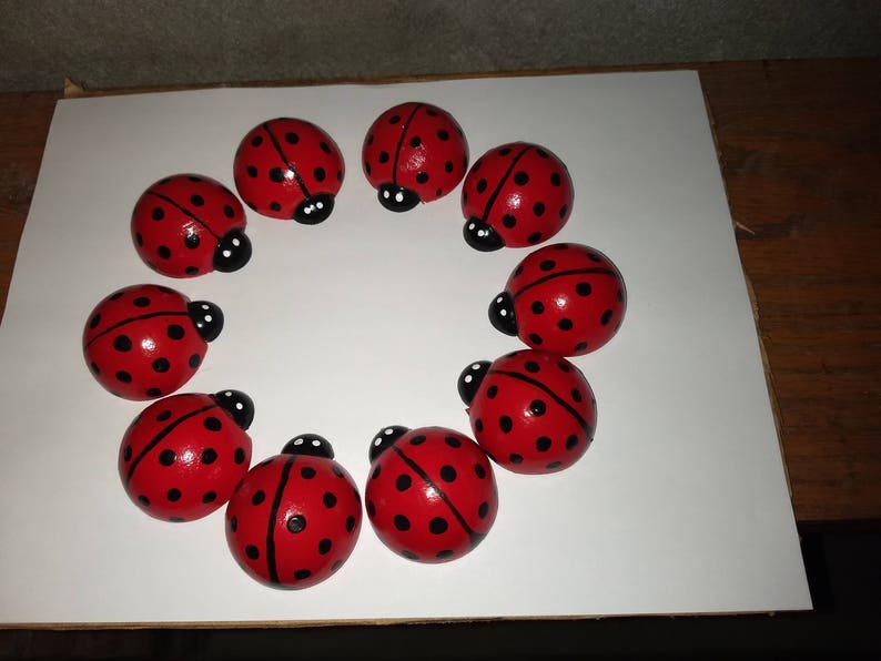 J's lucky ladybugs image 1