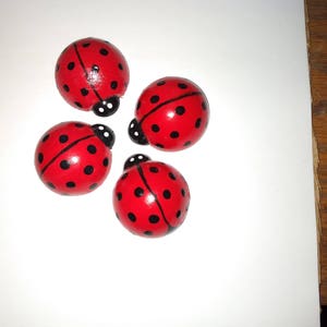 J's lucky ladybugs image 2