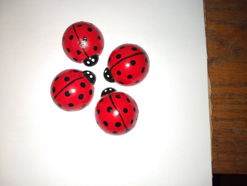 J's lucky ladybugs image 2
