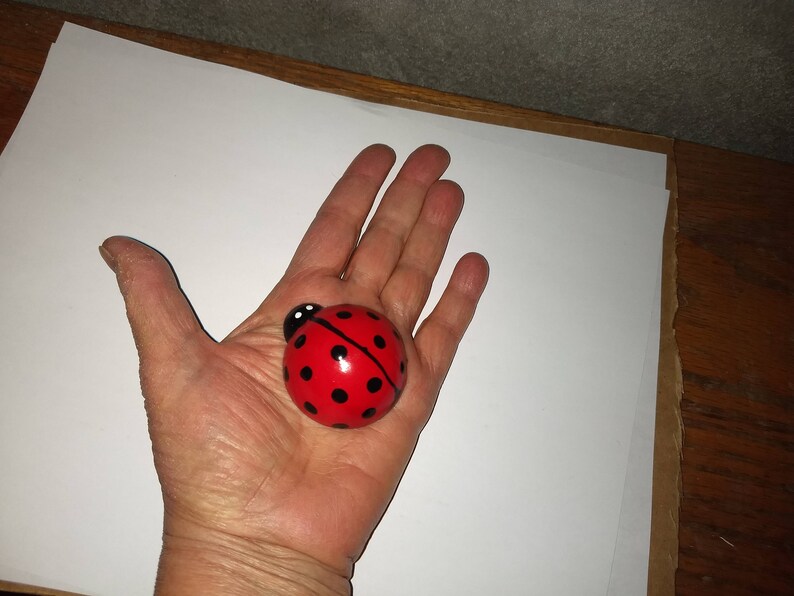 J's lucky ladybugs image 3