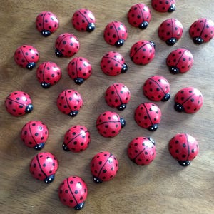 J's lucky ladybugs image 4