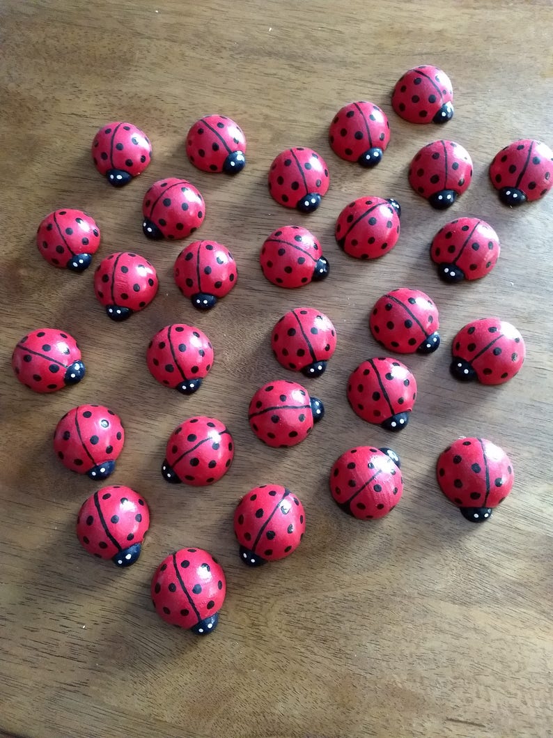 J's lucky ladybugs image 4