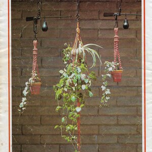 May include: Three hanging plant pots made of macrame cord, with a brick wall background. The pots are suspended from a metal scale with a weight on each side.