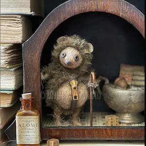 Cartão de ouriço mais fofo do Robin Davis Studio, cartão de amante de ouriço, impressão de ouriço, 5x7, aniversário de ouriço, foto de animal de estimação de ouriço