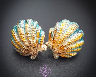 Shells stud summer earrings