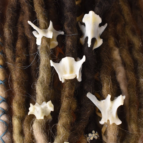 Fox Bone Dread Bead, Dreadlock, Bead, Large Diameter, Vertebrae, Bone, Bead, Lock, Dread, Loc, Jewelry, Fox, Boho