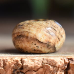 Picasso Jasper Dread Beads | 6mm Dread Beads | Rondell Beads | Dreadlock | Dread Accessory | Dread Beads