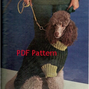 May include: A green and yellow knitted dog sweater with a PDF pattern. The sweater is on a brown poodle.