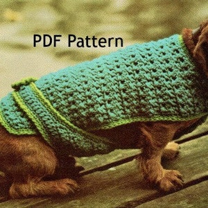 May include: A teal crochet dog coat with lime green trim. The coat is shown on a brown dachshund. The text "PDF Pattern" is visible in the image. The coat appears to be handmade.