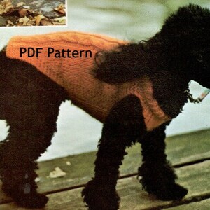 May include: A black poodle wearing an orange knitted dog sweater. The sweater has a cable knit design and the text "PDF Pattern" is visible on the sweater. The dog is standing on a wooden surface.