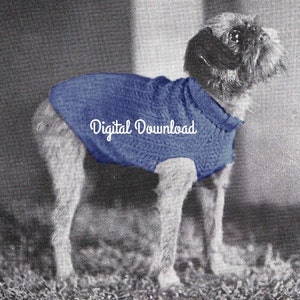 May include: A black and white photo of a small dog wearing a blue knitted sweater. The dog is standing on a textured surface.