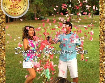 Black Gender Reveal Balloon, Confetti Filled, Pink, Mint & Gold Tassel