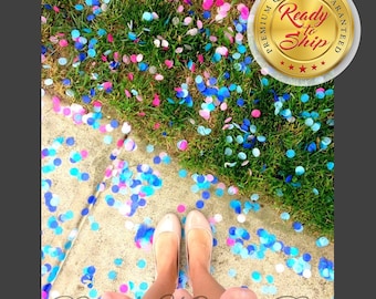 Gender Reveal Confetti: Handcut Biodegradable Tissue, Party Decoration