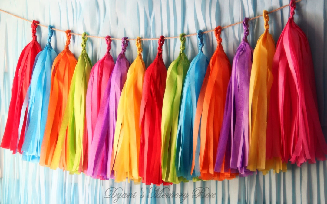 FIESTA Handmade Tissue Tassel Garland / Fiesta Tassel Backdrop / Fiesta