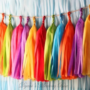 FIESTA Handmade Tissue Tassel Garland / Fiesta Tassel Backdrop / Fiesta Bunting / Bright Colors Garland image 1