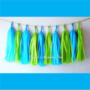May include: A garland of tissue paper tassels in blue and green. The tassels are strung together with twine and hang from a white wall. The text "Dyani's Memory Box" is visible in the center of the image.